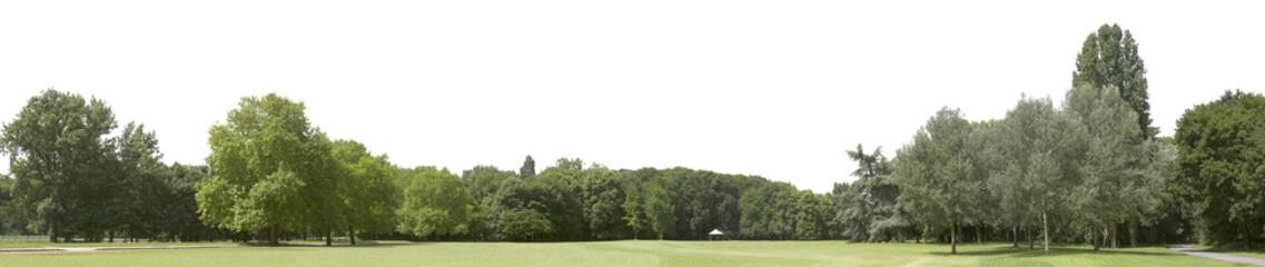 Very high definition Treeline isolated on a white background
