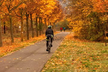 Radweg im Herbst