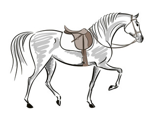 Beautiful horse in motion with saddle and bridle. English equestrian sport fox hunting autumn style. Hand drawing art. Vector sketch and stroke line illustration on white.