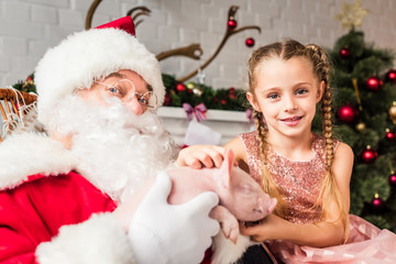 santa claus and cute little child playing with adorable pig and looking at camera