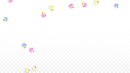 Vector Realistic Colorful Petals Falling on Transparent Background.  Spring Romantic Flowers Illustration. Flying Petals. Sakura Spa Design. Blossom Confetti. Design Elements for Wedding Decoration.