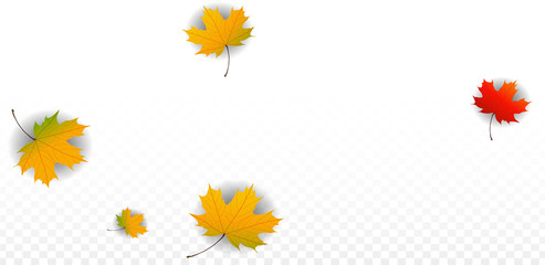 September Vector Background with Golden Falling Leaves. Autumn Illustration with Maple Red, Orange, Yellow Foliage. Isolated Leaf on Transparent Background. Bright Swirl. Suitable for Posters.
