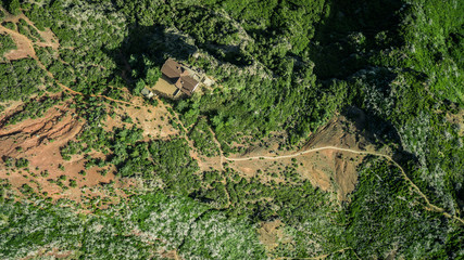 Aerial view of footpath in forest. 