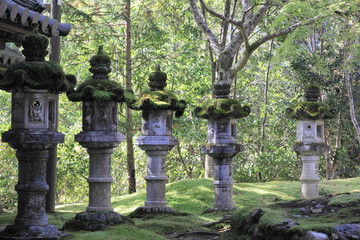 The autumn leaves in Kyoto