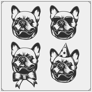 Cute Bulldog portrait with Holiday Attributes. Print design for t-shirts. Template for Pets Shop design.