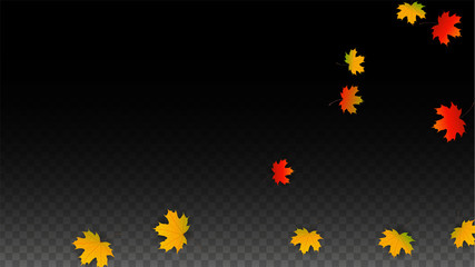 September Vector Background with Golden Falling Leaves. Autumn Illustration with Maple Red, Orange, Yellow Foliage. Isolated Leaf on Transparent Background. Bright Swirl. Suitable for Posters.