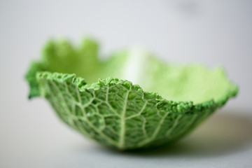 cabbage leaf