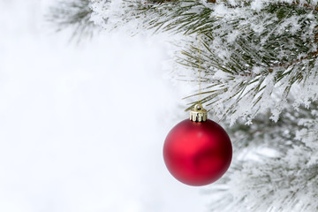 Naklejka na ściany i meble Christmas decorations on the pine branch