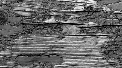 Obraz premium dark black and white background. peeling paint on an old wooden floor