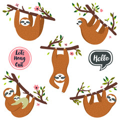 Vector set of cute sloths hanging on the tree includes mother with baby. Hand drawn collection of funny sloth, flowers, branch. Adorable rainforest animals isolated on white background - 234448356