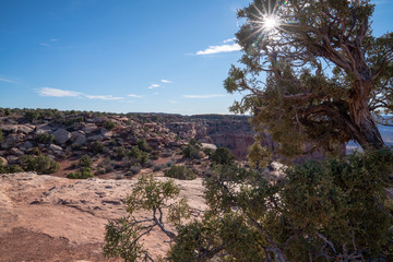 View into Utah canyon