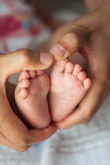 Close up of newborn baby feet. Baby's feet in the mother hands. Baby. Cozy. Love. Family.