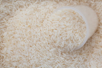 Thai Jasmine rice with close up shot.