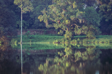 romantic landscape with reflections in the lake in angkor wat