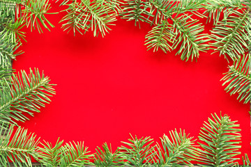 Christmas tree branch on red velvet 