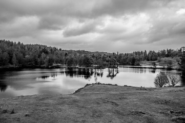 Tarn Hows, Lake District National Park