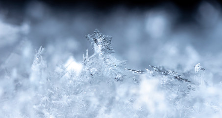 snowflake on snow, snow