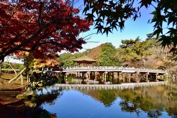 Fototapeta premium 日本の奈良の紅葉