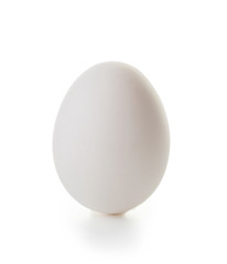 Raw chicken egg on white background