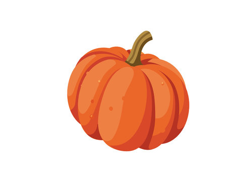 vector pumpkin, white background