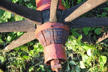 gardener with garden tools