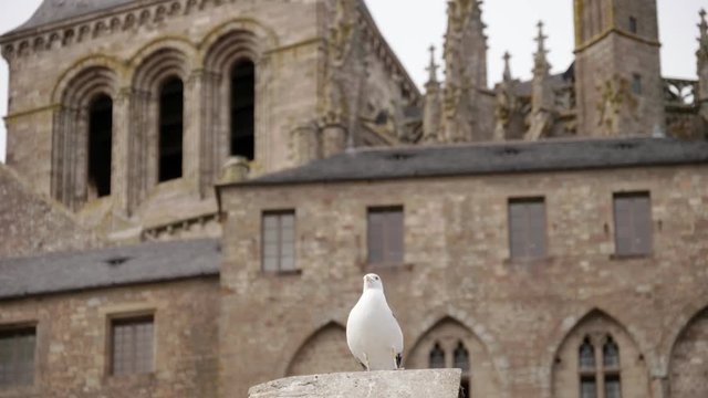 Mont-Saint-Michel in west of France, the border between Brittany and Normandy. The France most visited places. October 2018.