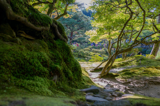 Palst รูปภาพPalst – เลือกดูภาพถ่ายสต็อก เวกเตอร์ และวิดีโอ121 | Adobe Stock