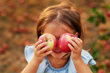 Girl in Apple Orchard. Beautiful Girl Eating Organic Apple in Orchard. Harvest Concept. Garden,...