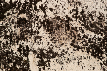The texture of the concrete wall with black spots. Textured background of concrete and black abstract spots. Surface design in the interior.