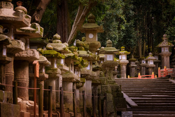 Fototapeta premium Japan