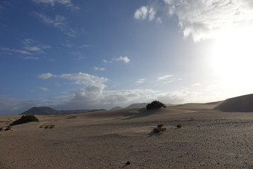 Low sun late afternoon, in the natural park,Corralejo,Fuerteventura,Canary-Islands,Spain.