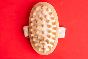 brush shower massager