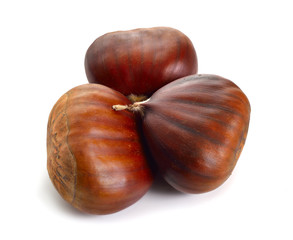 Castanea sativa, or sweet chestnut fruit. Isolated on white background