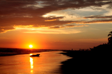 Naklejka premium Saladorean