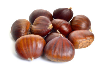 Castanea sativa, or sweet chestnut fruit. Isolated on white background