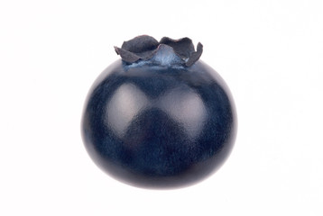 Single blueberry on white background