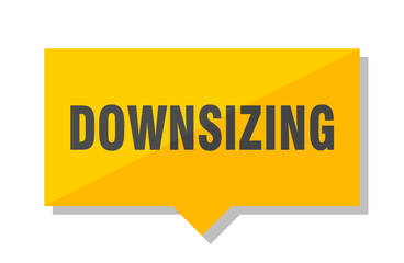 downsizing price tag