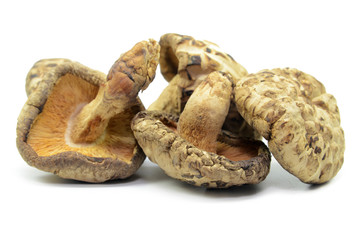 Dried shiitake mushrooms isolated