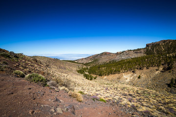 Beautiful landscape of  Teide national park, Tenerife, Canary island, Spain