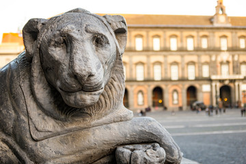 Fototapeta na wymiar lion statue in Piazza del Plebiscito in Naples with the royal palace in the background. Italy