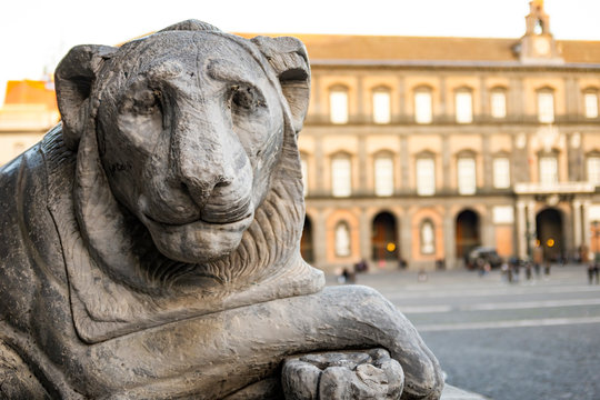 lion statue in Piazza del Plebiscito in Naples with the royal palace in the background. Italy