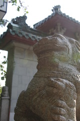 Chinese stone lion