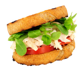 Chicken and mayonnaise sandwich with tomato and watercress isolated on a white background