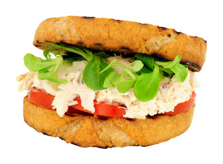 Chicken and mayonnaise sandwich with tomato and watercress isolated on a white background