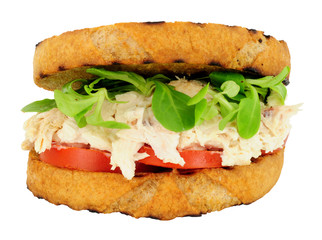 Chicken and mayonnaise sandwich with tomato and watercress isolated on a white background