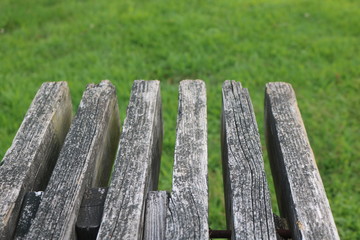 Wooden bench in grassy public park