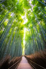 No drill light filtering roller blinds Road in forest Beautiful landscape of bamboo grove in the forest at Arashiyama kyoto