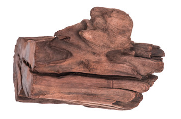 Piece of Tree Bark on White Background,mahogany