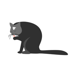 Funny hand drawn black cat is licking its paw. Vector illustration of a cartoon character.