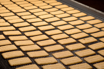 cookie factory making